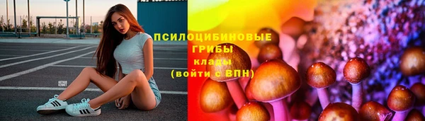 a pvp Касимов