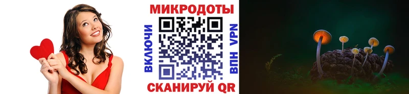 Галлюциногенные грибы Magic Shrooms Купить закладки Губаха