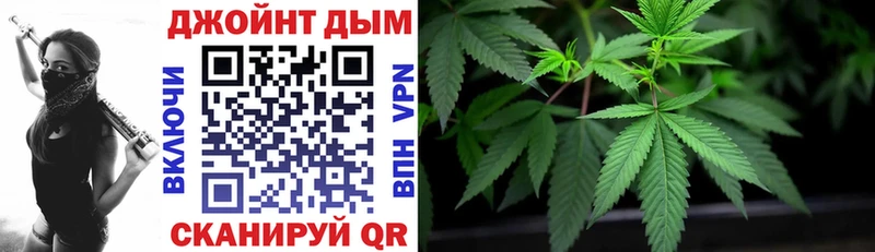 Купить  Губаха  Бошки марихуана OG Kush 